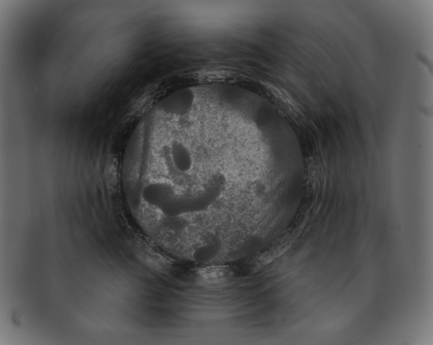 X0000091510761200709070953