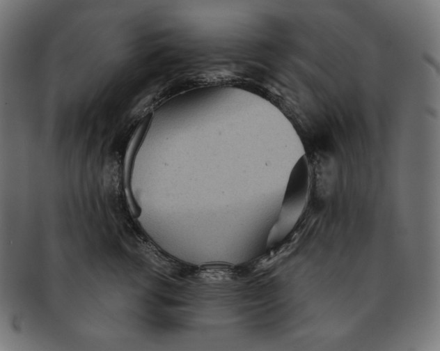 X0000091510762200709070953