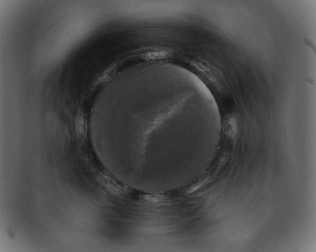 X0000091510763200709070953