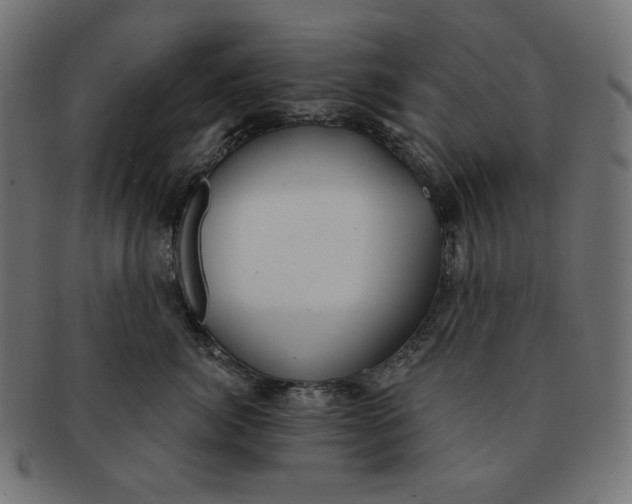 X0000091510764200709070953