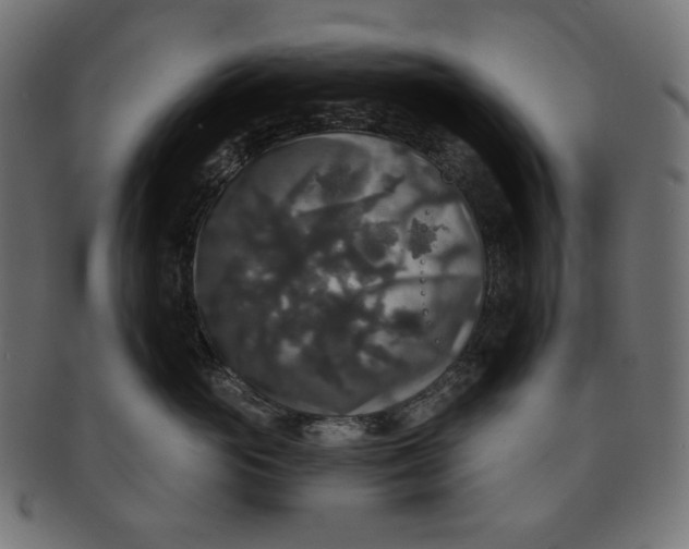 X0000091510765200709070953