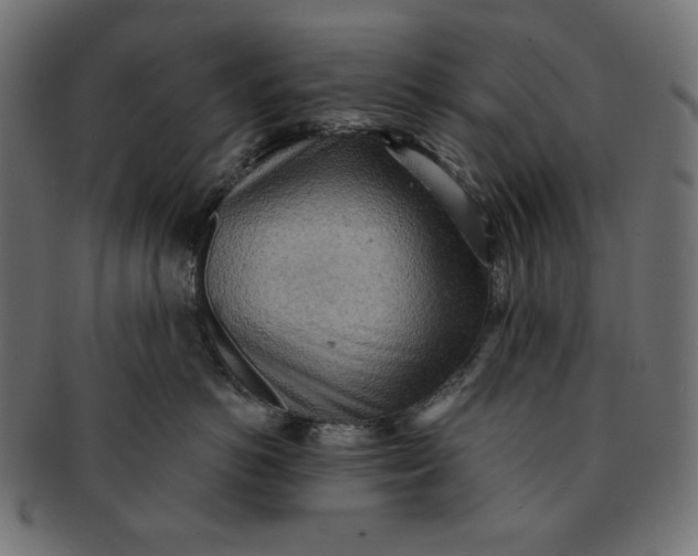 X0000091510766200709070953