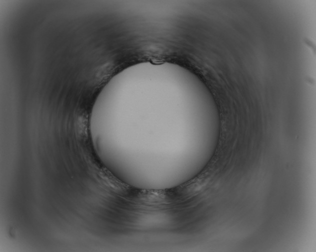 X0000091510768200709070953