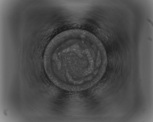 X0000091510769200709070953