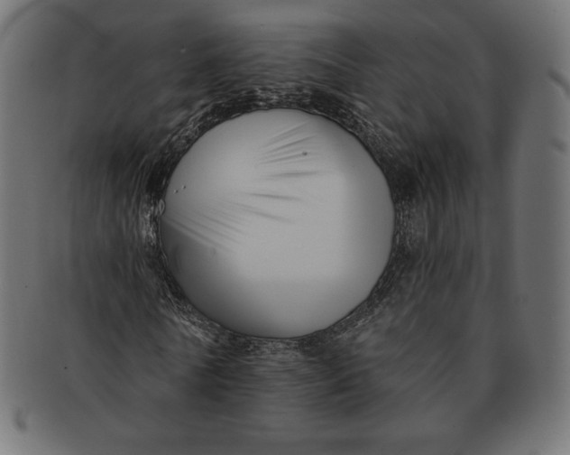 X0000091510770200709070953