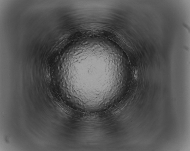 X0000091510771200709070953