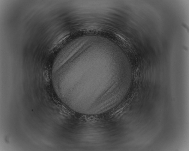 X0000091510774200709070953