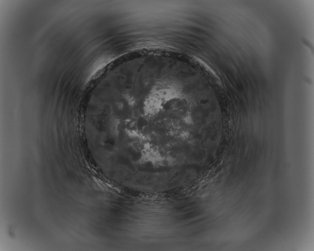 X0000091510775200709070953