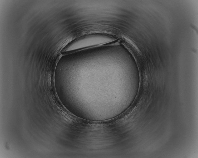 X0000091510777200709070952