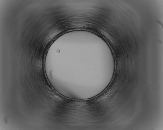 X0000091510778200709070952