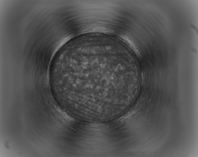 X0000091510780200709070952