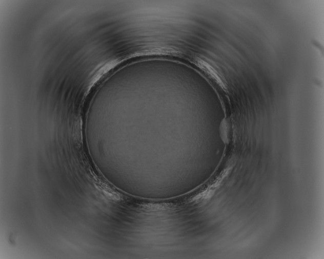 X0000091510781200709070952