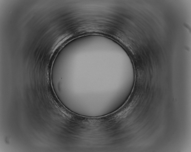 X0000091510782200709070952