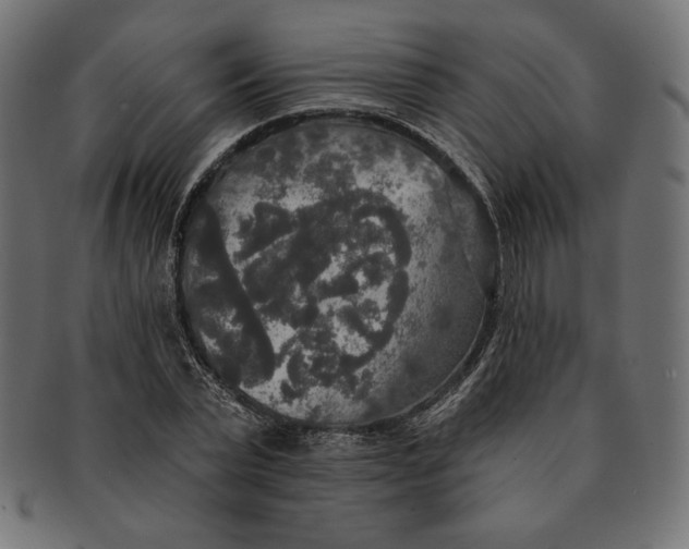 X0000091510783200709070952