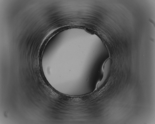 X0000091510784200709070952