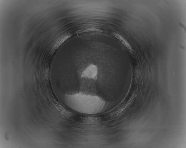 X0000091510785200709070952