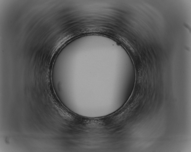 X0000091510786200709070952