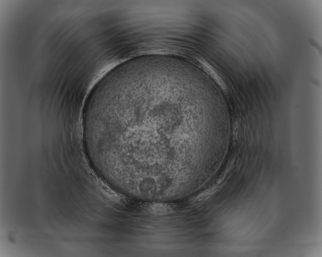 X0000091510787200709070952