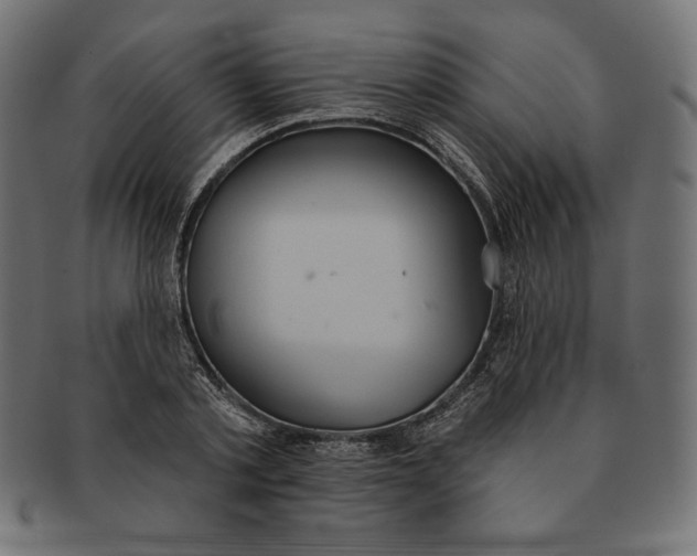 X0000091510789200709070952