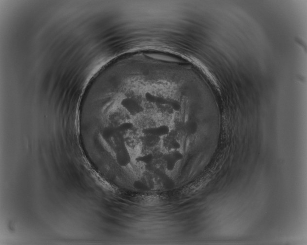 X0000091510791200709070952