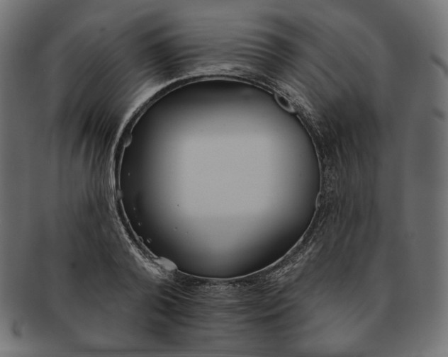 X0000091510792200709070952