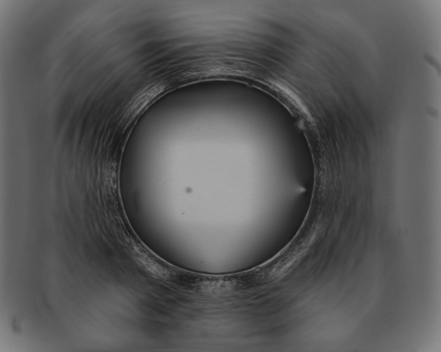 X0000091510793200709070952