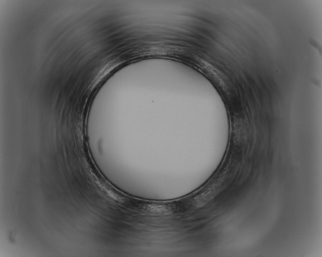 X0000091510794200709070952