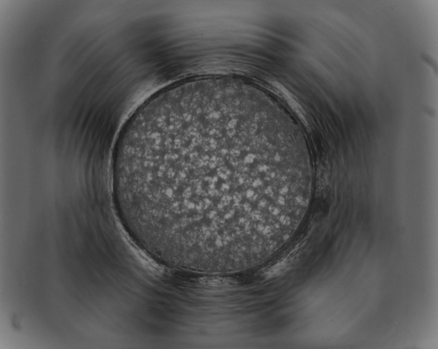 X0000091510795200709070952