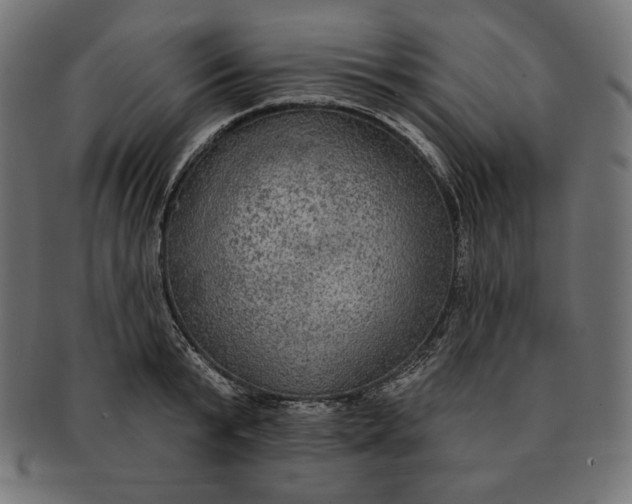 X0000091510799200709070952