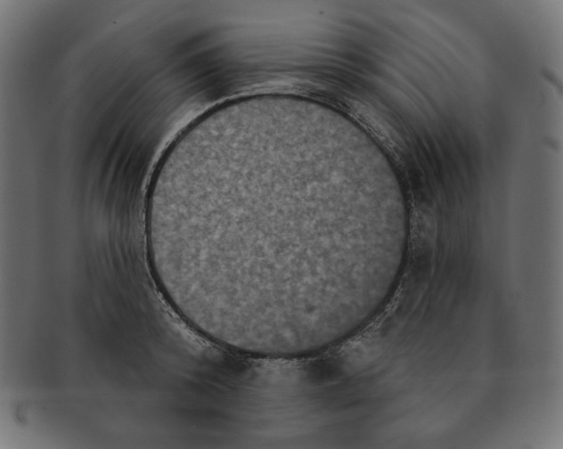 X0000091510800200709070952