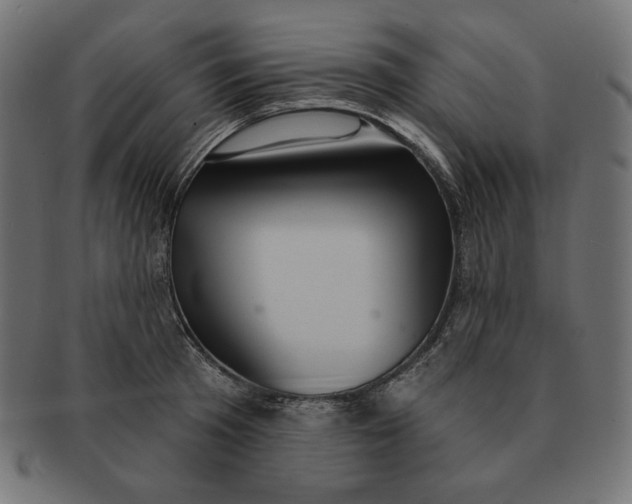 X0000091510801200709070952