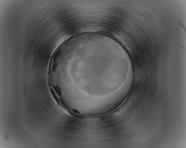 X0000091510802200709070952