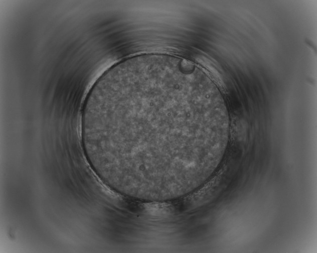 X0000091510804200709070952