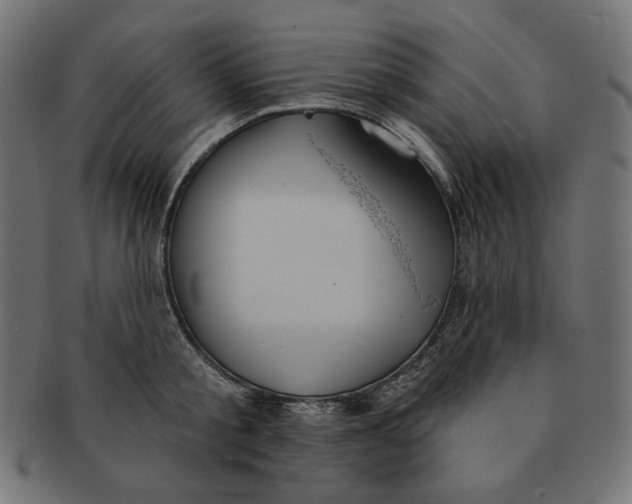 X0000091510805200709070952