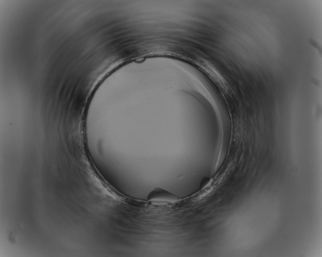 X0000091510806200709070952