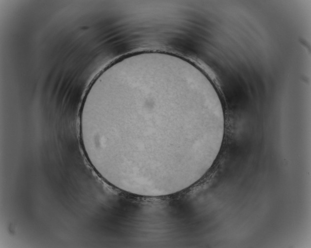 X0000091510807200709070952