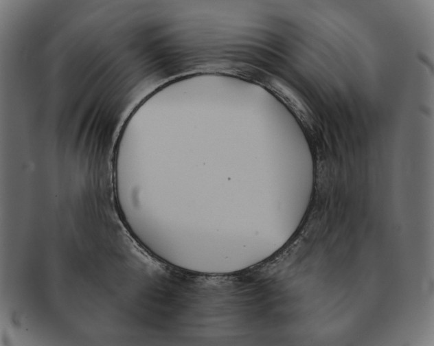 X0000091510808200709070952