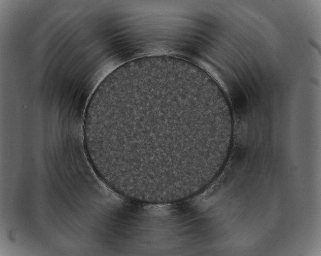 X0000091510810200709070952