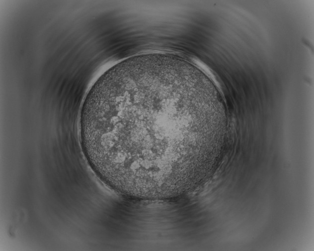 X0000091510811200709070952