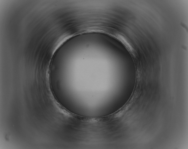 X0000091510814200709070952