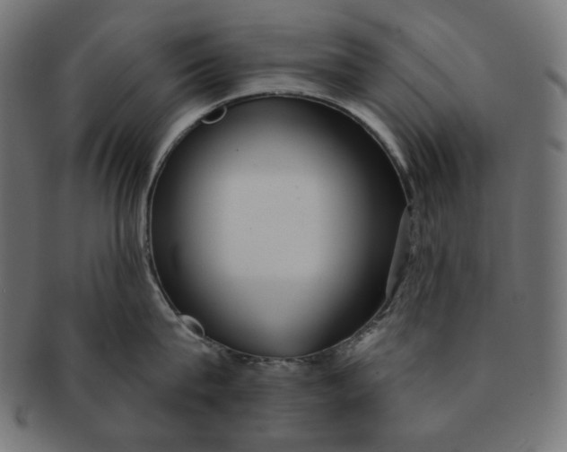 X0000091510815200709070952