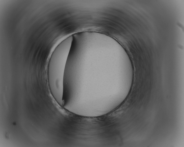 X0000091510816200709070952