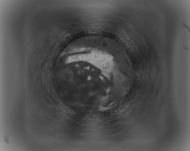 X0000091510817200709070951