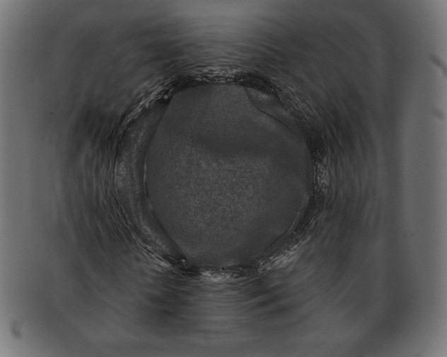 X0000091510818200709070951