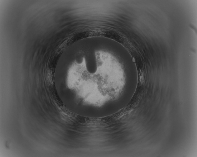 X0000091510819200709070951