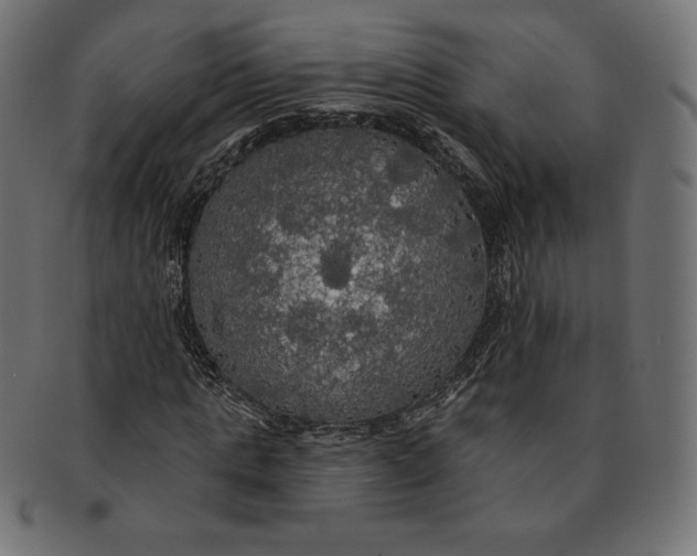 X0000091510821200709070951