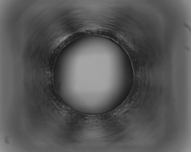 X0000091510822200709070951