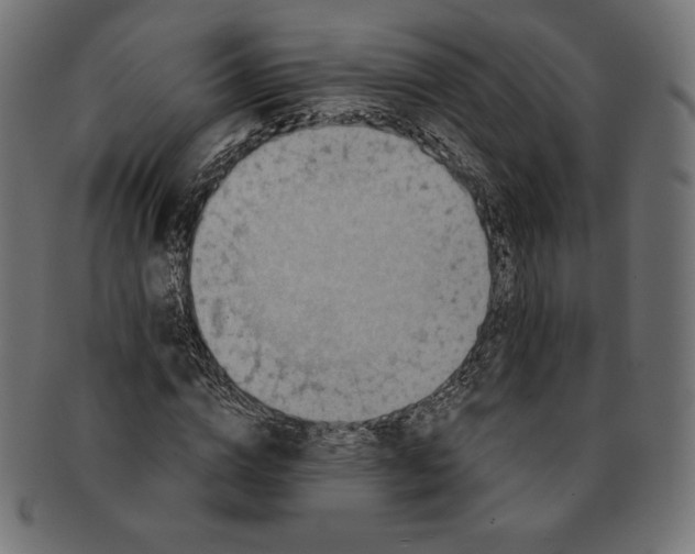 X0000091510824200709070951