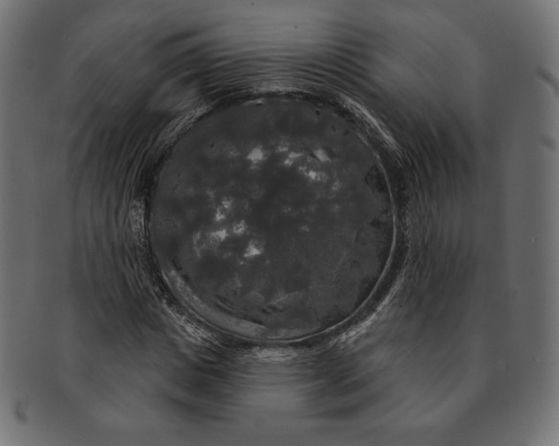 X0000091510825200709070951