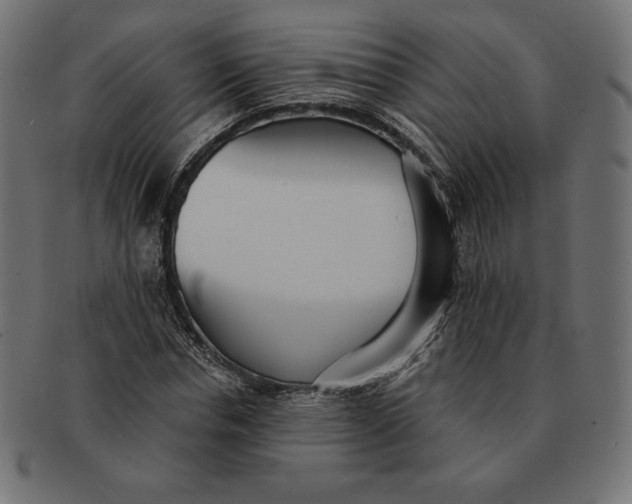 X0000091510826200709070951